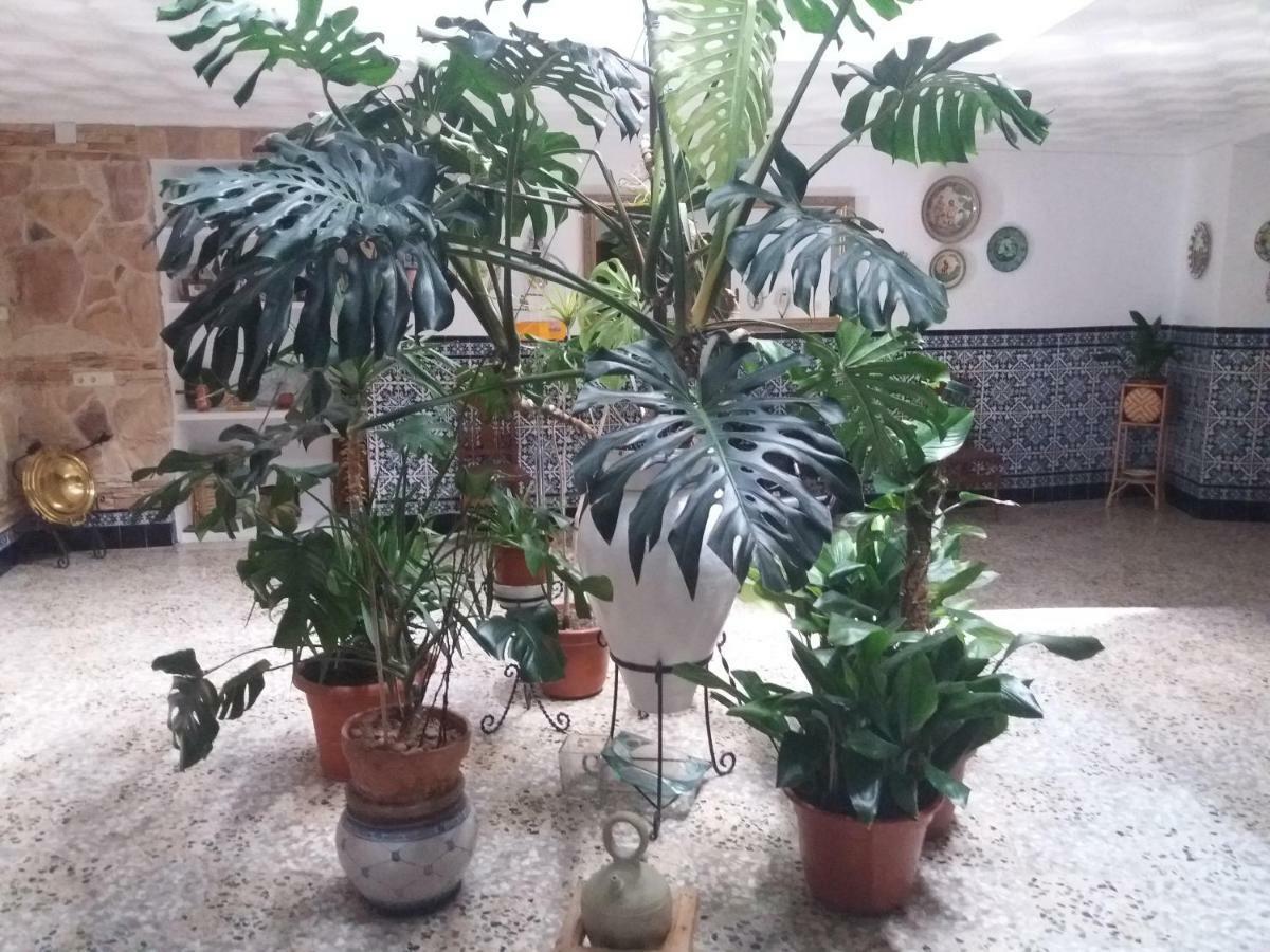 Casa Labradora Apartment Herencia Bagian luar foto
